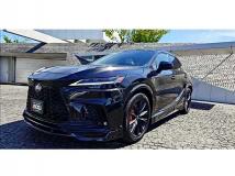 2024 Lexus RX
