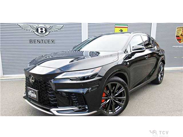 2024 Lexus RX