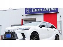 2024 Lexus RX