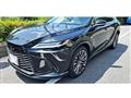 2025 Lexus RX