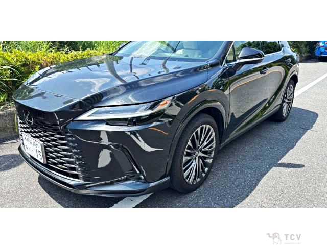 2025 Lexus RX