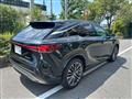 2025 Lexus RX