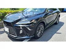 2025 Lexus RX