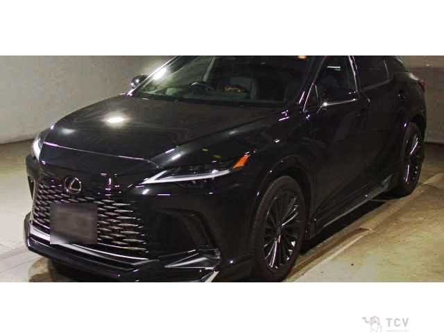 2025 Lexus RX