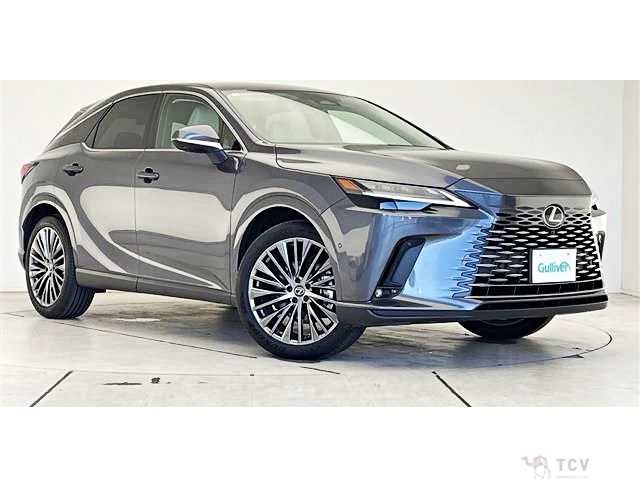 2025 Lexus RX