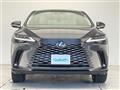 2025 Lexus RX
