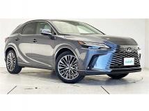 2025 Lexus RX