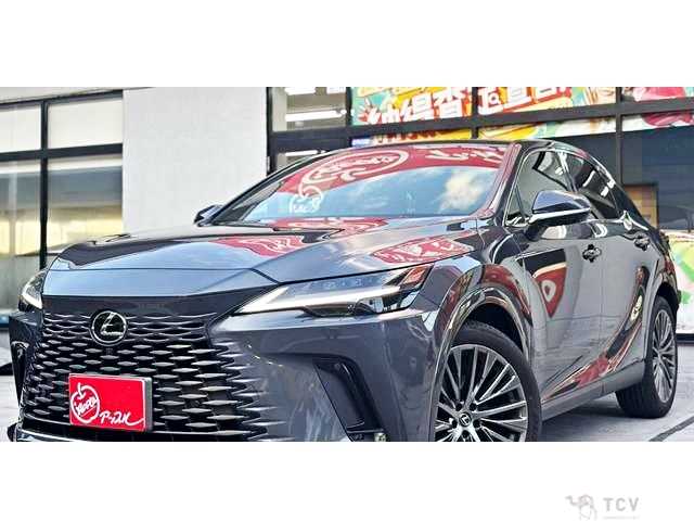 2025 Lexus RX