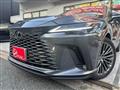 2025 Lexus RX