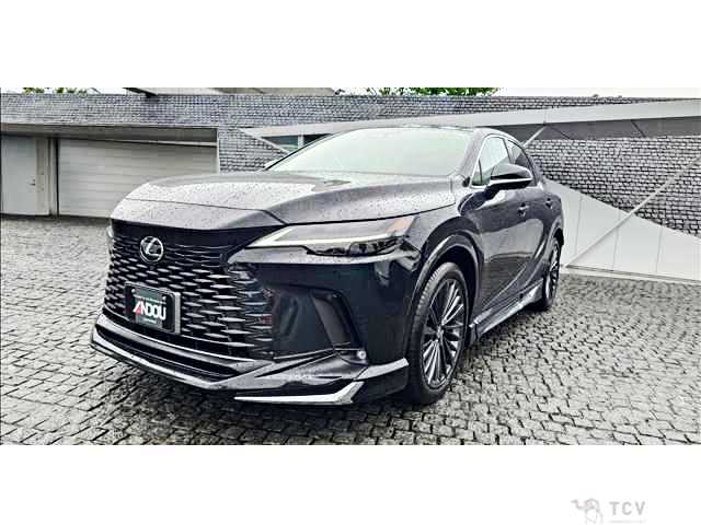 2025 Lexus RX