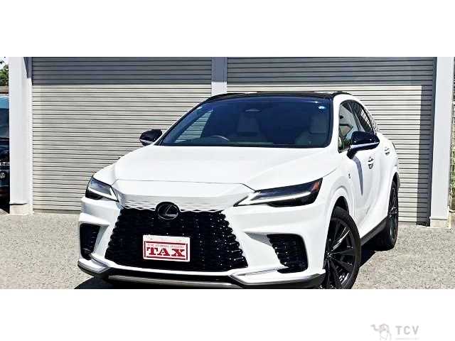 2025 Lexus RX