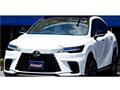 2025 Lexus RX
