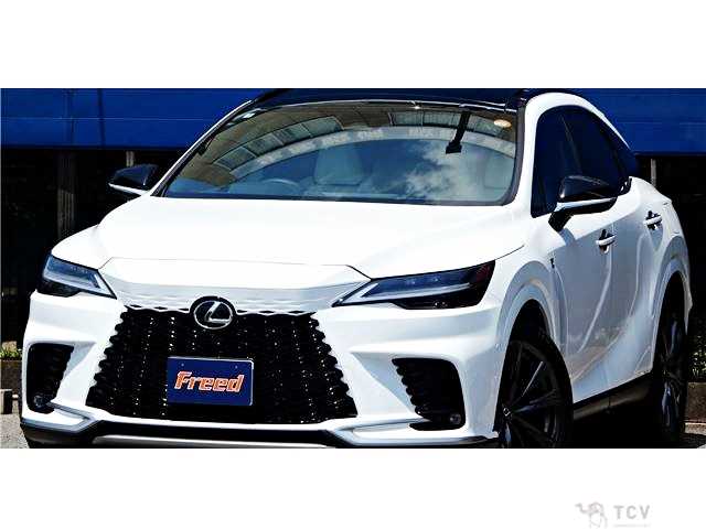 2025 Lexus RX