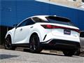 2025 Lexus RX