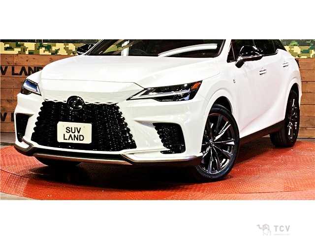 2025 Lexus RX