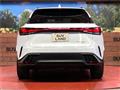 2025 Lexus RX