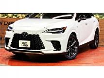 2025 Lexus RX