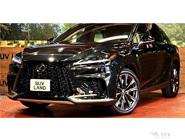 2025 Lexus RX