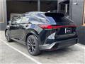 2025 Lexus RX