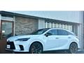 2025 Lexus RX