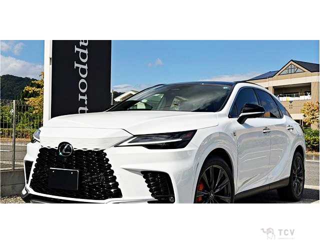 2025 Lexus RX