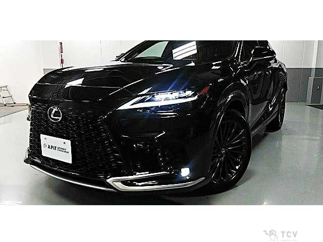 2025 Lexus RX