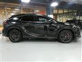 2025 Lexus RX