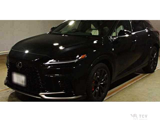2025 Lexus RX
