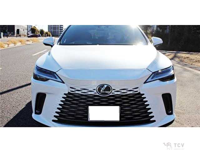 2025 Lexus RX