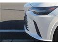 2025 Lexus RX