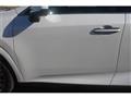 2025 Lexus RX