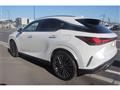 2025 Lexus RX