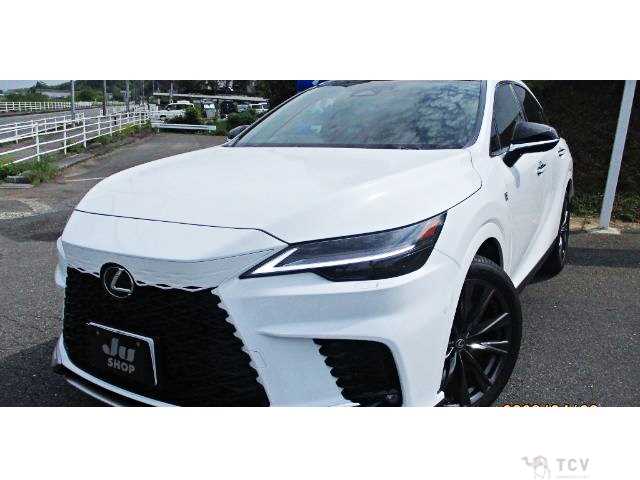 2025 Lexus RX