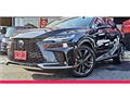 2025 Lexus RX