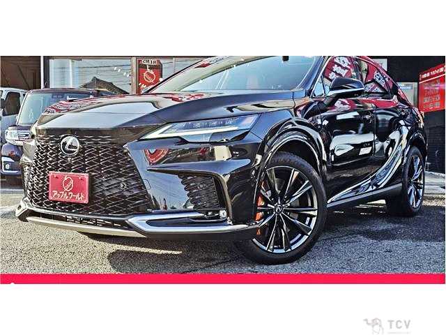 2025 Lexus RX