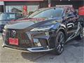 2025 Lexus RX