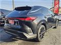 2025 Lexus RX
