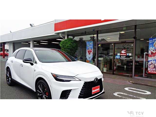 2025 Lexus RX