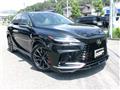 2025 Lexus RX