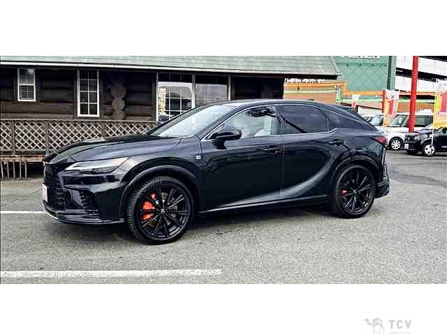 2025 Lexus RX