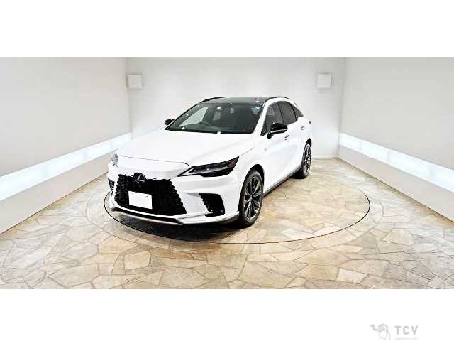 2025 Lexus RX