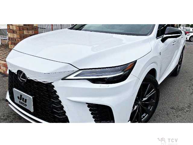 2025 Lexus RX