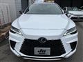 2025 Lexus RX