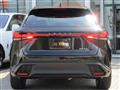 2025 Lexus RX