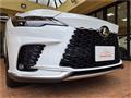 2025 Lexus RX