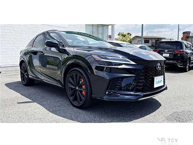 2025 Lexus RX