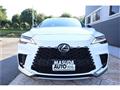 2025 Lexus RX