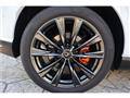 2025 Lexus RX