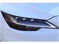 2025 Lexus RX