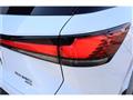 2025 Lexus RX